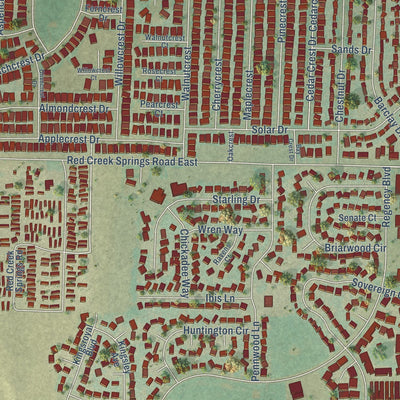 Close-up of the map of Goodnight, Colorado print showing street and building detail