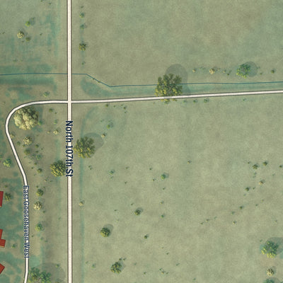 Close-up of the map of Leyner, Colorado print showing street and building detail