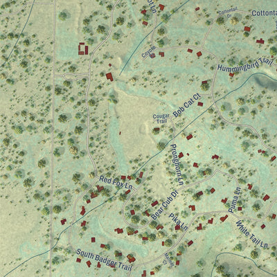 Close-up of the map of Loghill Village, Colorado print showing street and building detail