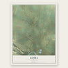 Loma, Colorado map print, the full design