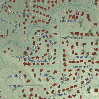 Close-up of the map of Niwot, Colorado print showing street and building detail