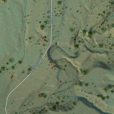 Close-up of the map of Piedra, Colorado print showing street and building detail