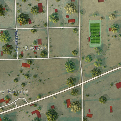 Close-up of the map of Raymer (New Raymer), Colorado print showing street and building detail