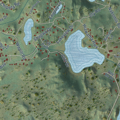 Close-up of the map of Red Feather Lakes, Colorado print showing street and building detail