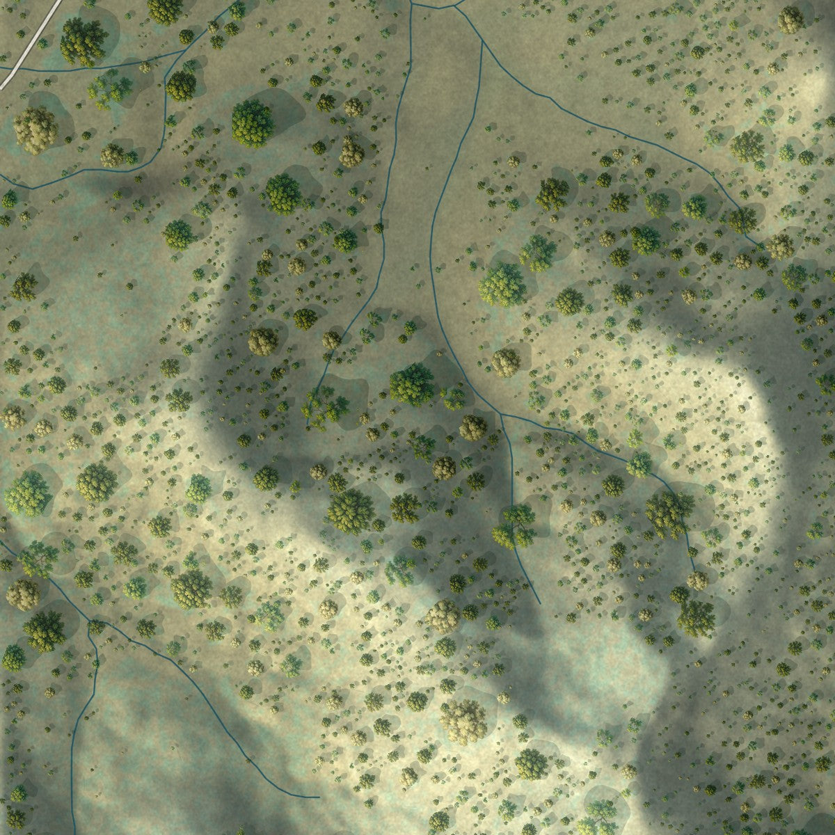 Close-up of the map of Rockvale, Colorado print showing street and building detail