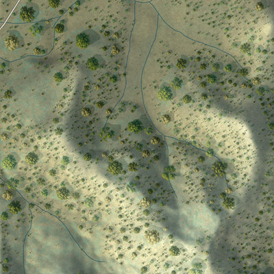 Close-up of the map of Rockvale, Colorado print showing street and building detail