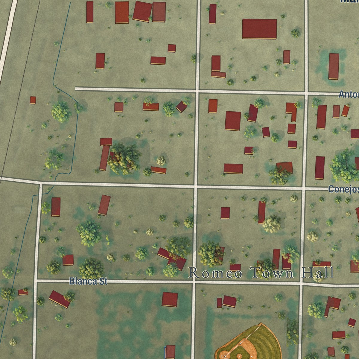 Close-up of the map of Romeo, Colorado print showing street and building detail