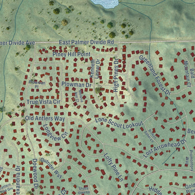 Close-up of the map of Woodmoor, Colorado print showing street and building detail