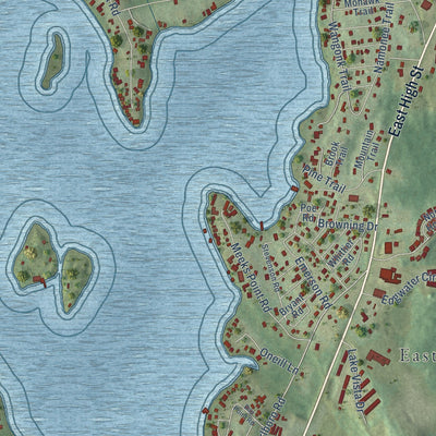 Close-up of the map of Lake Pocotopaug, Connecticut print showing street and building detail