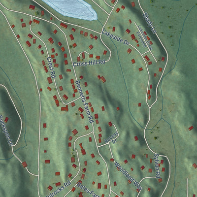Close-up of the map of Lakes East, Connecticut print showing street and building detail