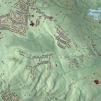Close-up of the map of Oakdale, Connecticut print showing street and building detail