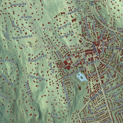Close-up of the map of Ponus, Connecticut print showing street and building detail