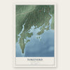 Tokeneke, Connecticut map print, the full design