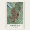 Bloomingdale, District of Columbia map print, the full design