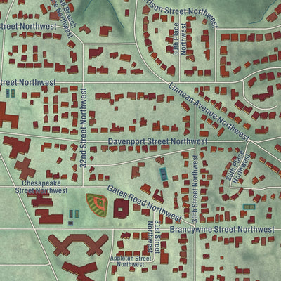 Close-up of the map of Forest Hills, District of Columbia print showing street and building detail