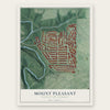 Mount Pleasant, District of Columbia map print, the full design