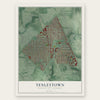 Tenleytown, District of Columbia map print, the full design