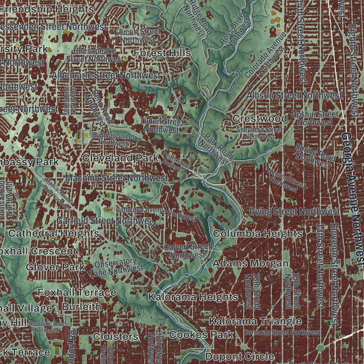 Close-up of the map of Washington, District of Columbia print showing street and building detail