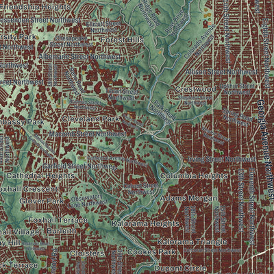 Close-up of the map of Washington, District of Columbia print showing street and building detail