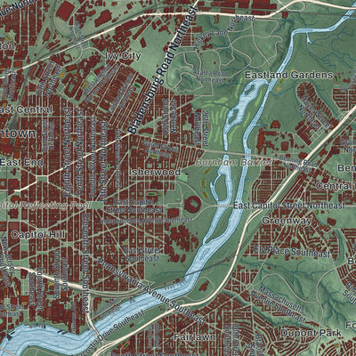 Second close-up of the map of Washington, District of Columbia print showing more streets and buildings
