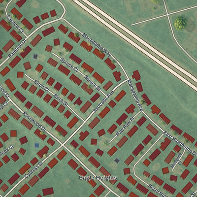 Close-up of the map of Dover Base Housing, Delaware print showing street and building detail