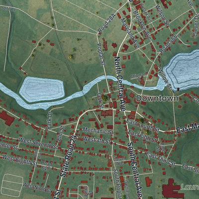 Close-up of the map of Laurel, Delaware print showing street and building detail