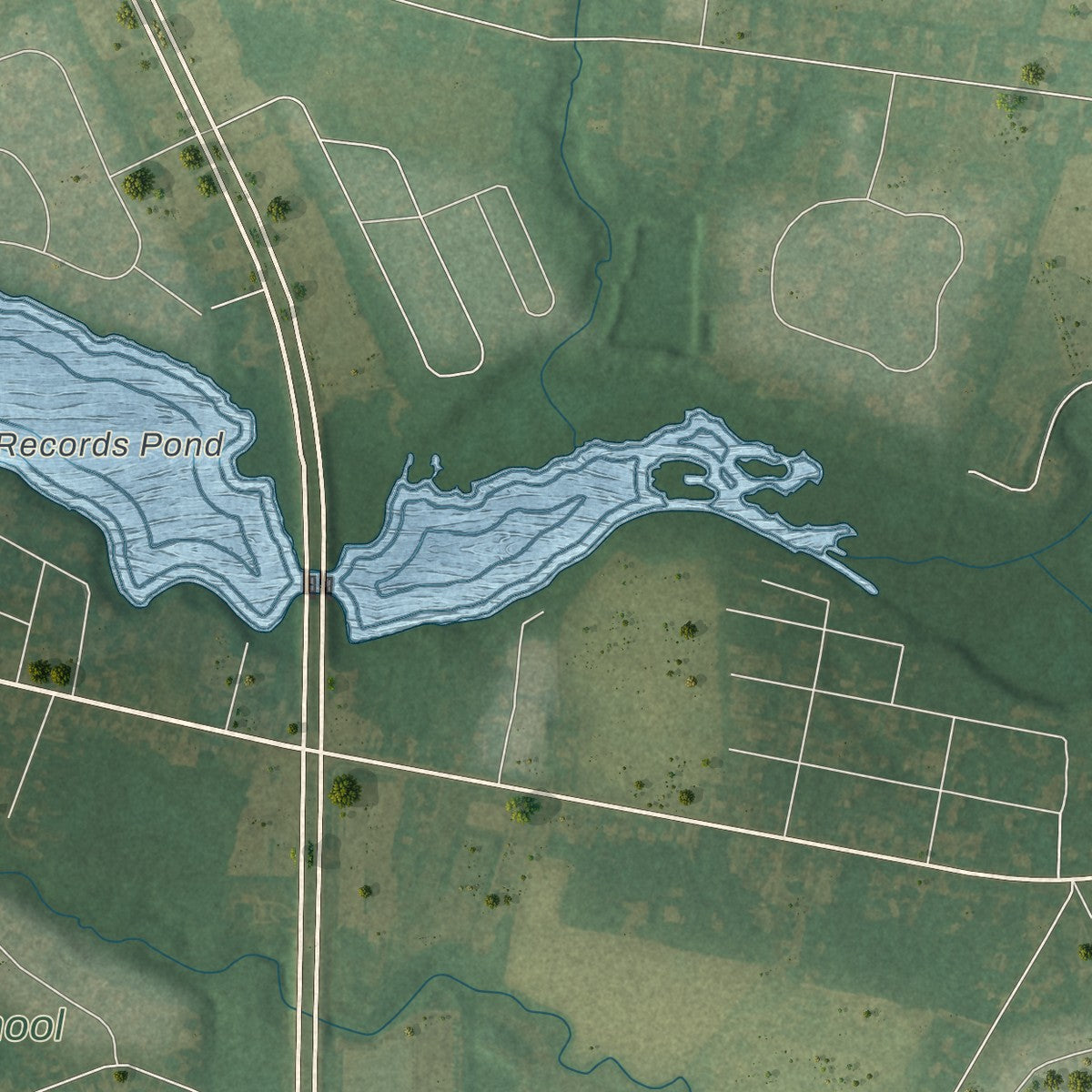 Second close-up of the map of Laurel, Delaware print showing more streets and buildings
