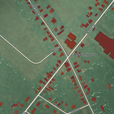 Close-up of the map of Magnolia, Delaware print showing street and building detail