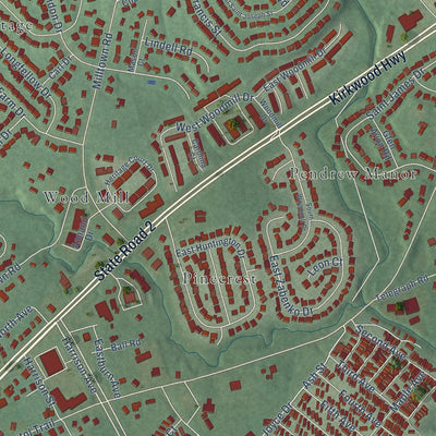 Close-up of the map of Meadowood, Delaware print showing street and building detail