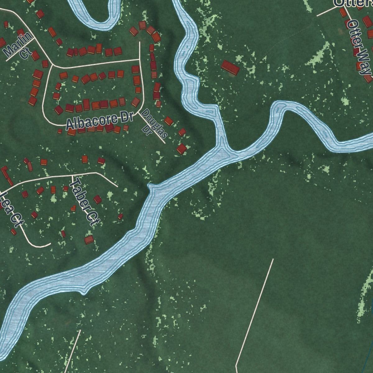 Close-up of the map of Riverview, Delaware print showing street and building detail