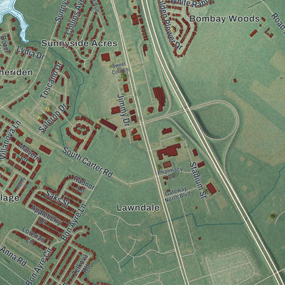 Second close-up of the map of Smyrna, Delaware print showing more streets and buildings