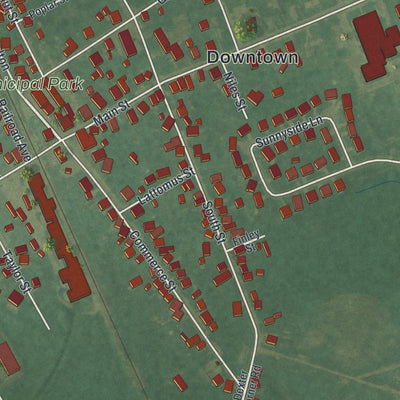 Close-up of the map of Townsend, Delaware print showing street and building detail