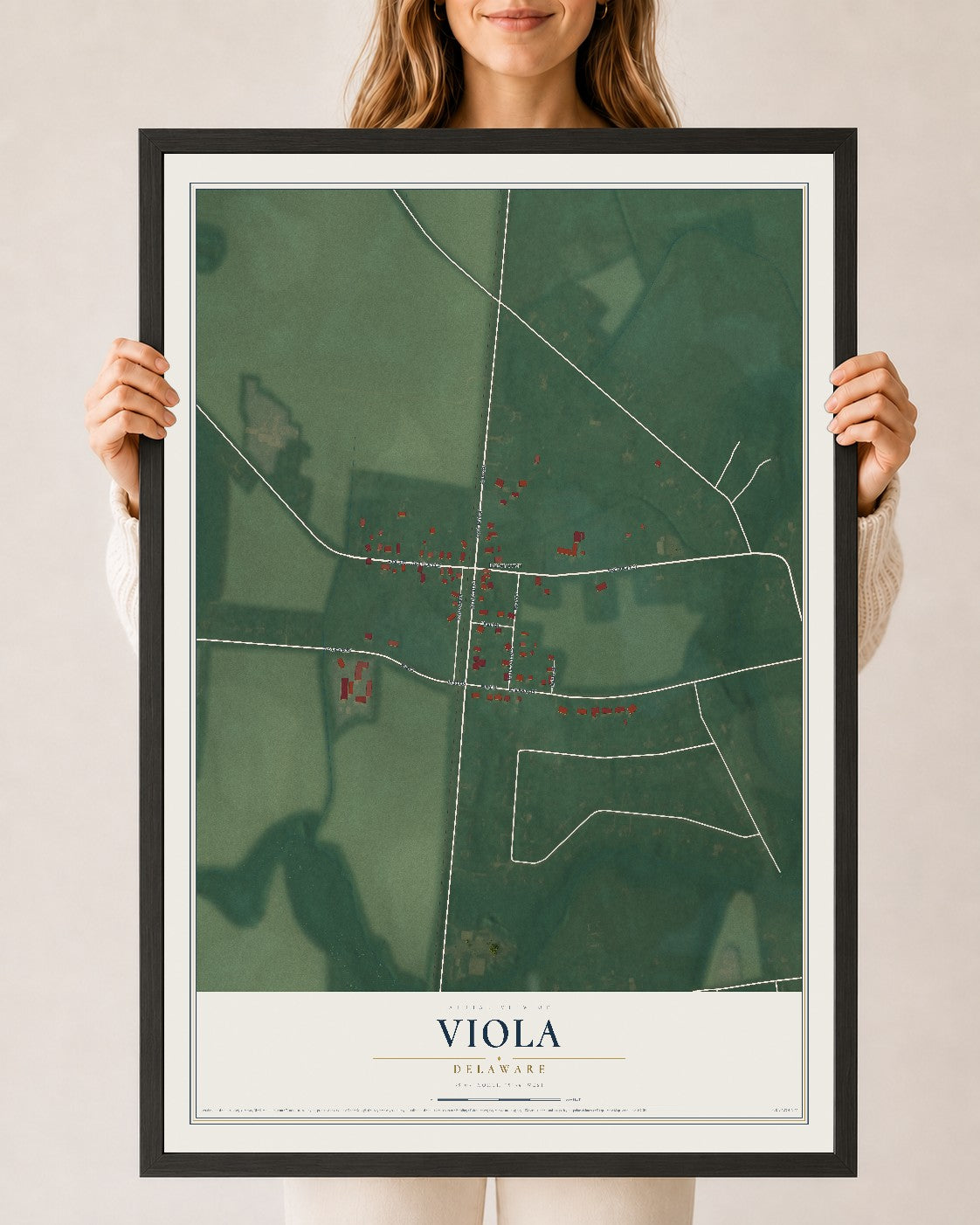 Map of Viola, Delaware, 24 x 36 inch print in a black wood frame