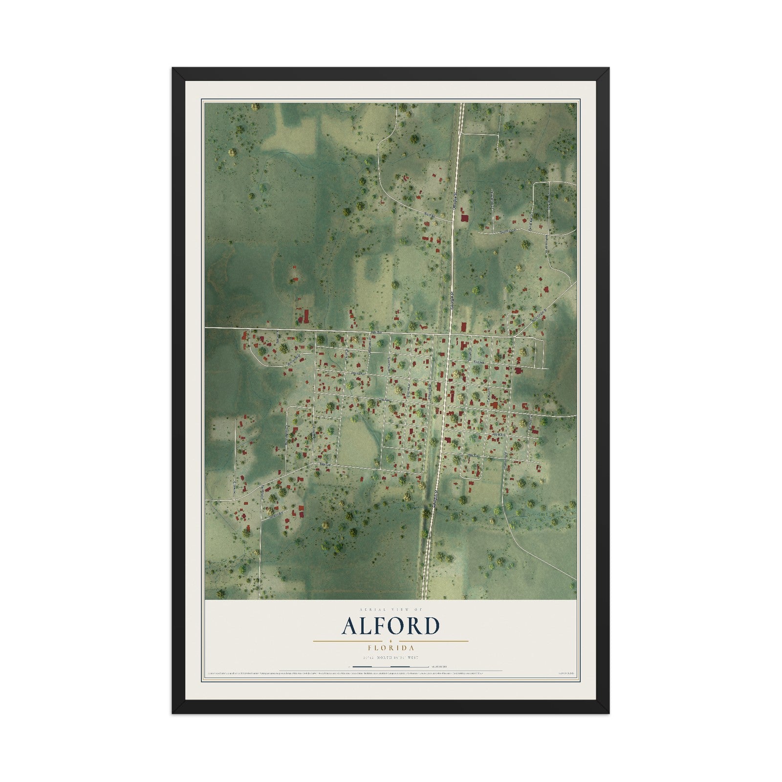 Alford, Florida map print, 12" x 18" W/ Black Ayous Wood Frame mockup