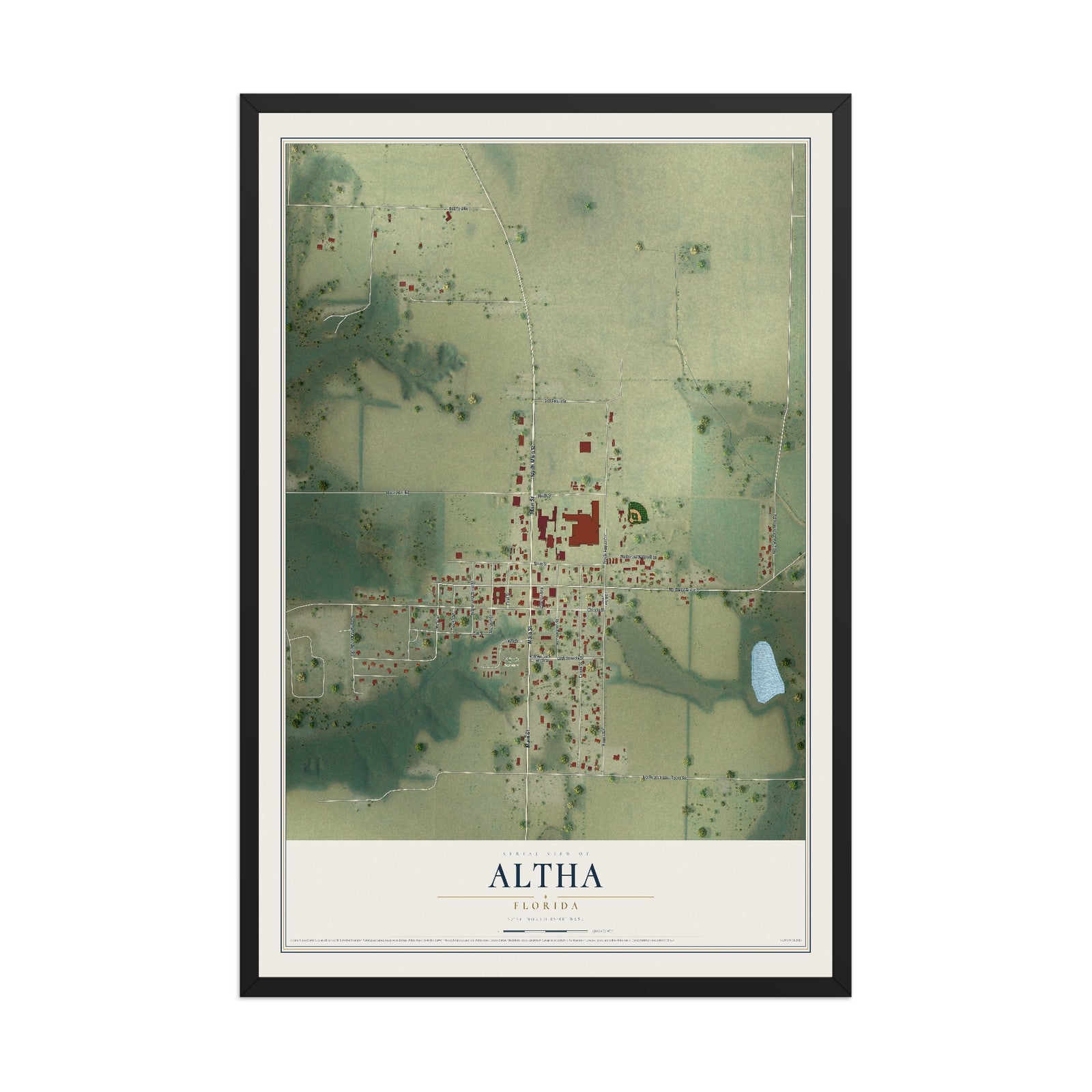 Altha, Florida map print, 12" x 18" W/ Black Ayous Wood Frame mockup