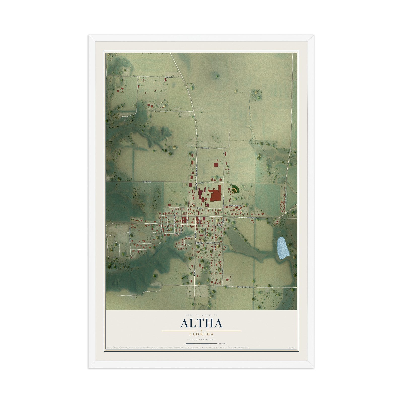 Altha, Florida map print, 12" x 18" W/ White Ayous Wood Frame mockup