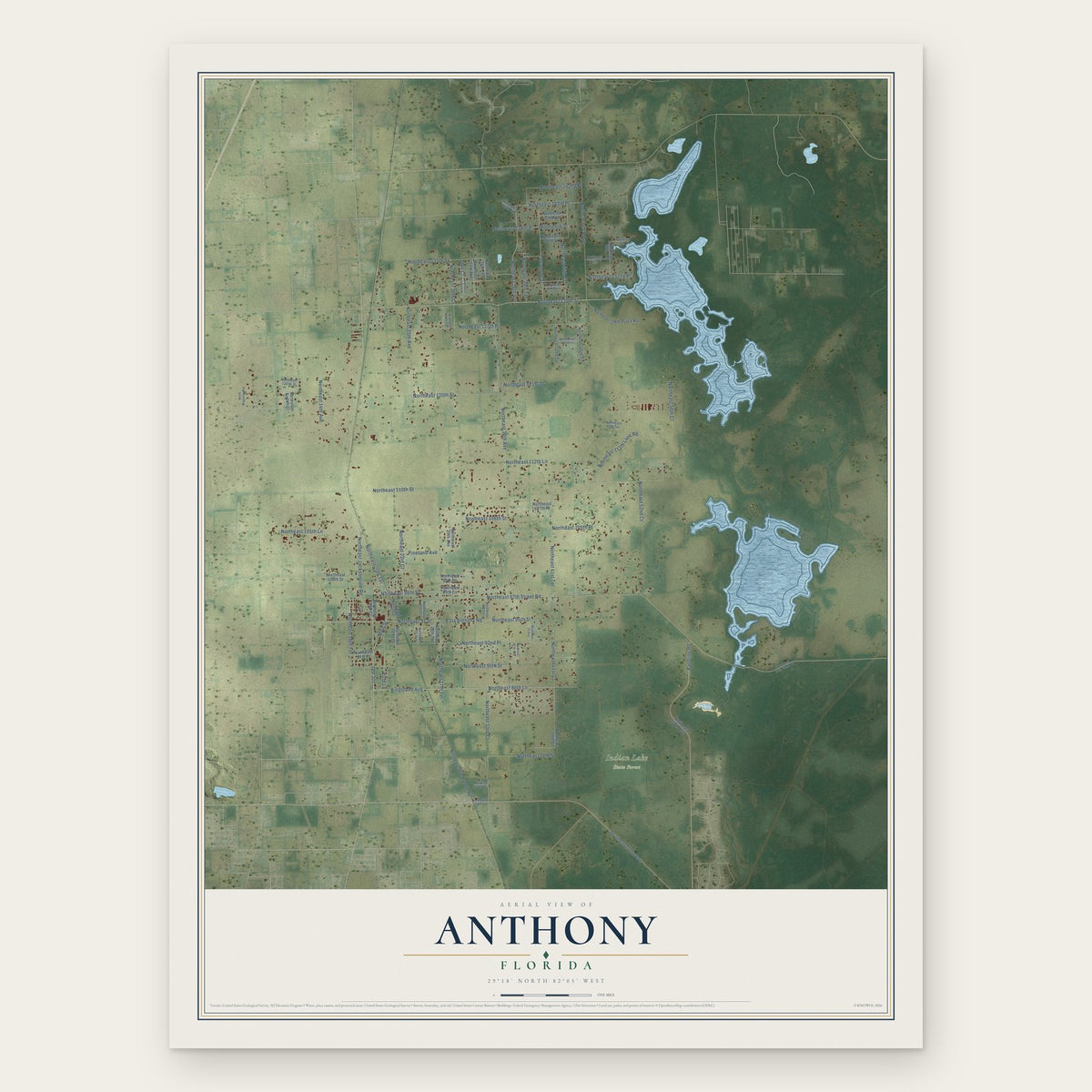Anthony, Florida map print, the full design