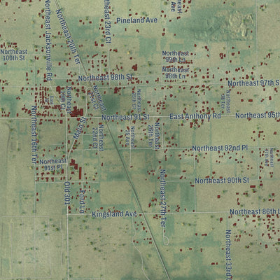 Close-up of the map of Anthony, Florida print showing street and building detail