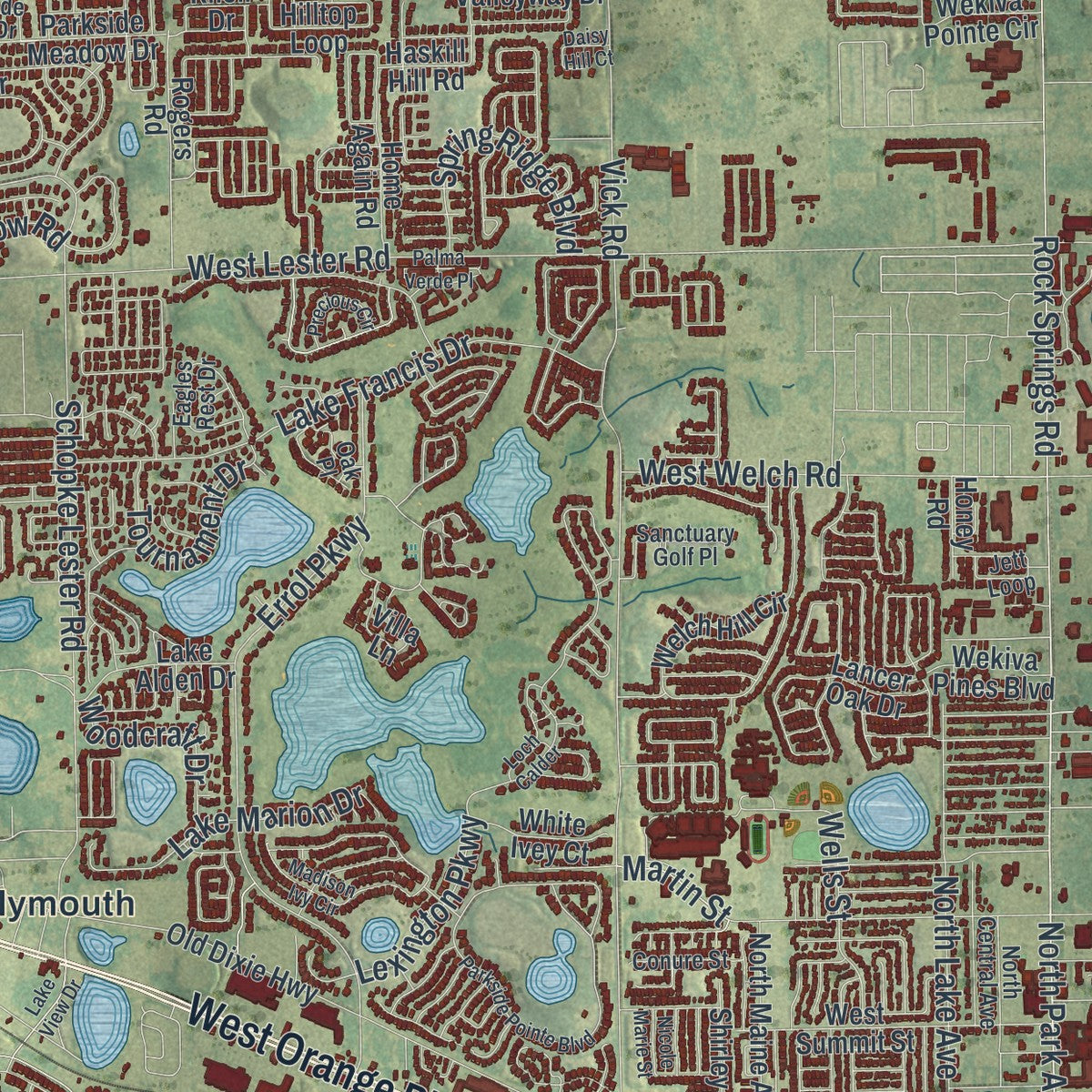 Close-up 1 of the Apopka, Florida map artwork