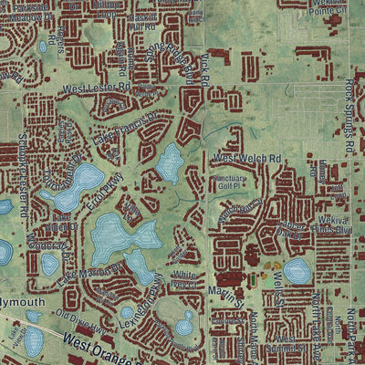 Close-up 1 of the Apopka, Florida map artwork