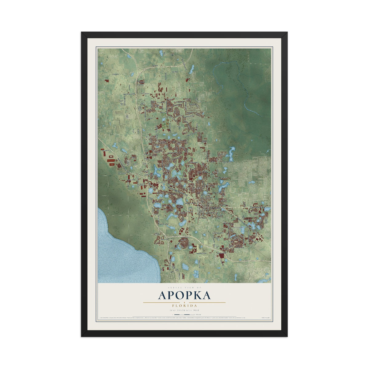 Apopka, Florida map print, 12" x 18" W/ Black Ayous Wood Frame mockup