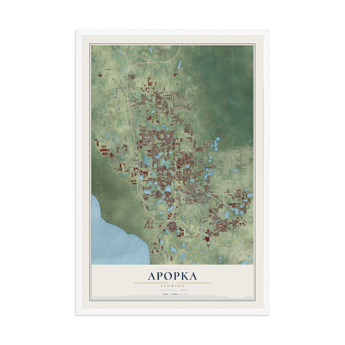 Apopka, Florida map print, 12" x 18" W/ White Ayous Wood Frame mockup