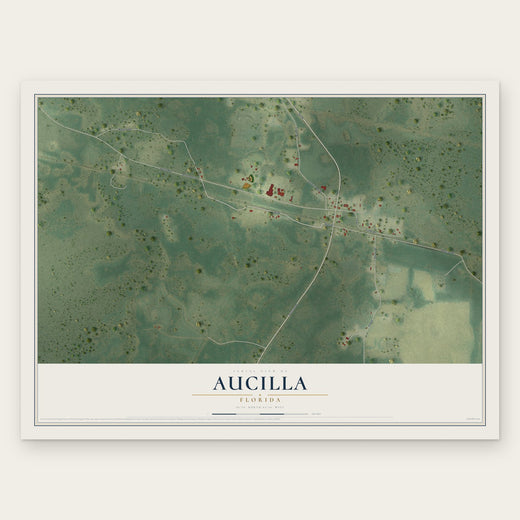 Aucilla, Florida map print, the full design