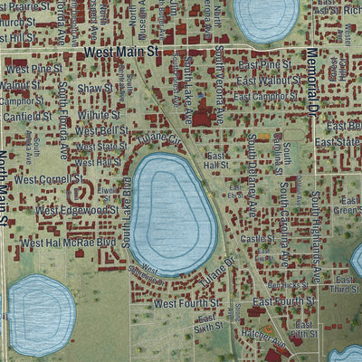 Close-up 1 of the Avon Park, Florida map artwork