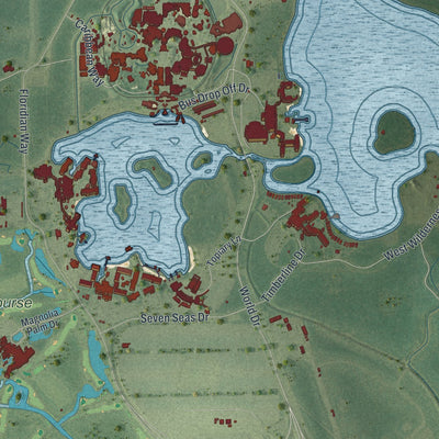 Close-up 2 of the Bay Lake, Florida map artwork