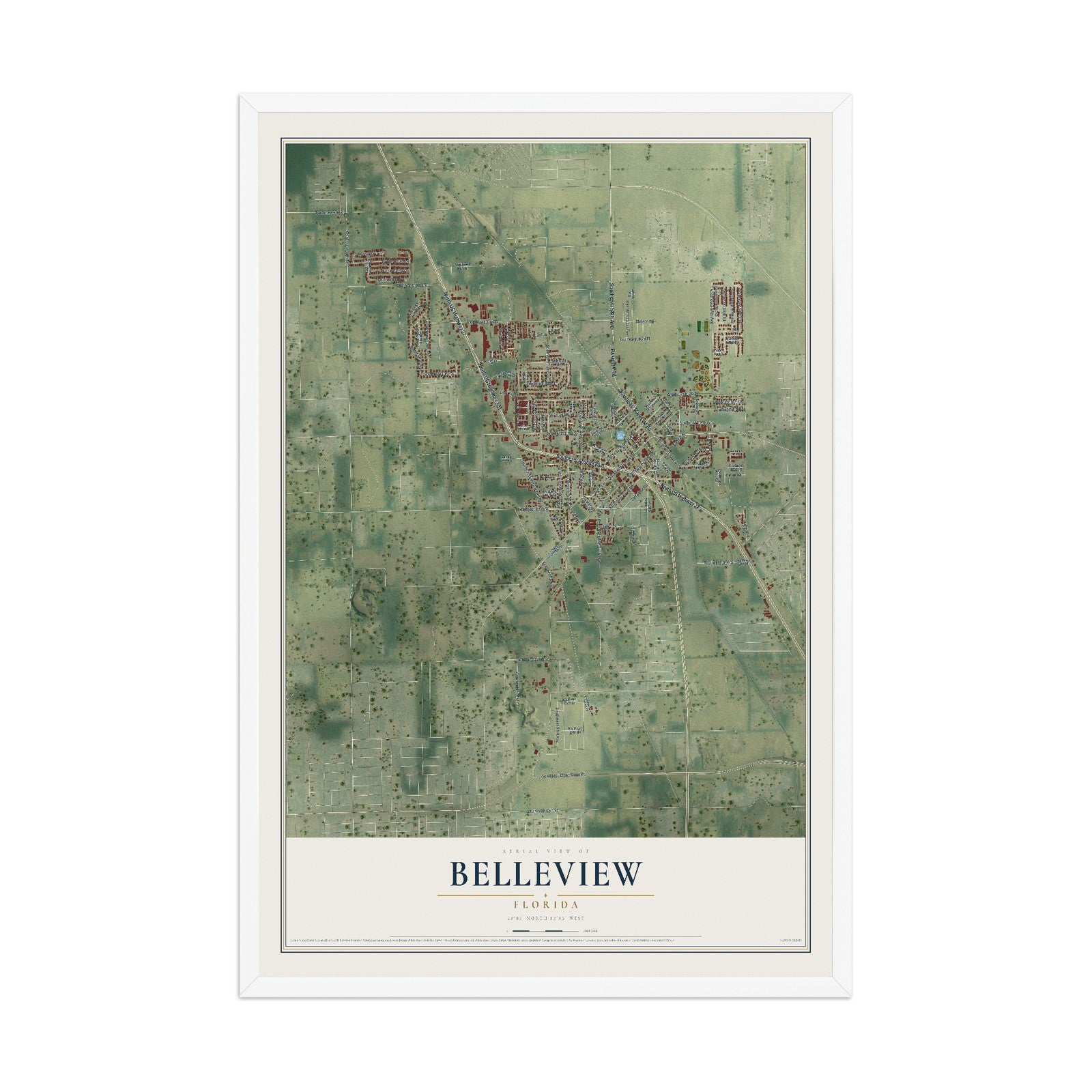 Belleview, Florida map print, 12" x 18" W/ White Ayous Wood Frame mockup
