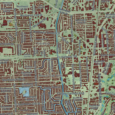 Close-up 1 of the Boca Raton, Florida map artwork