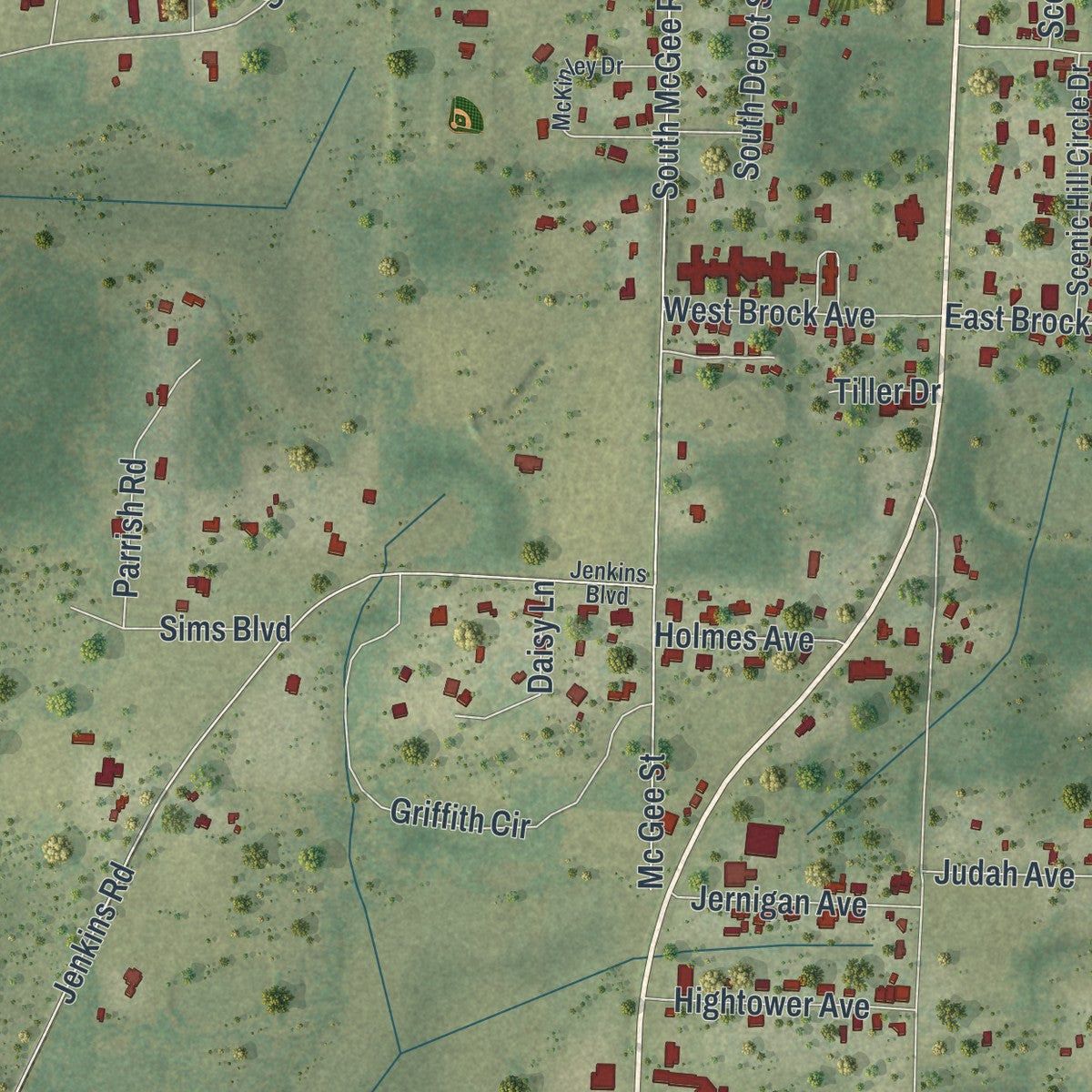 Close-up 2 of the Bonifay, Florida map artwork
