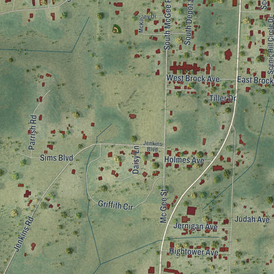 Close-up 2 of the Bonifay, Florida map artwork