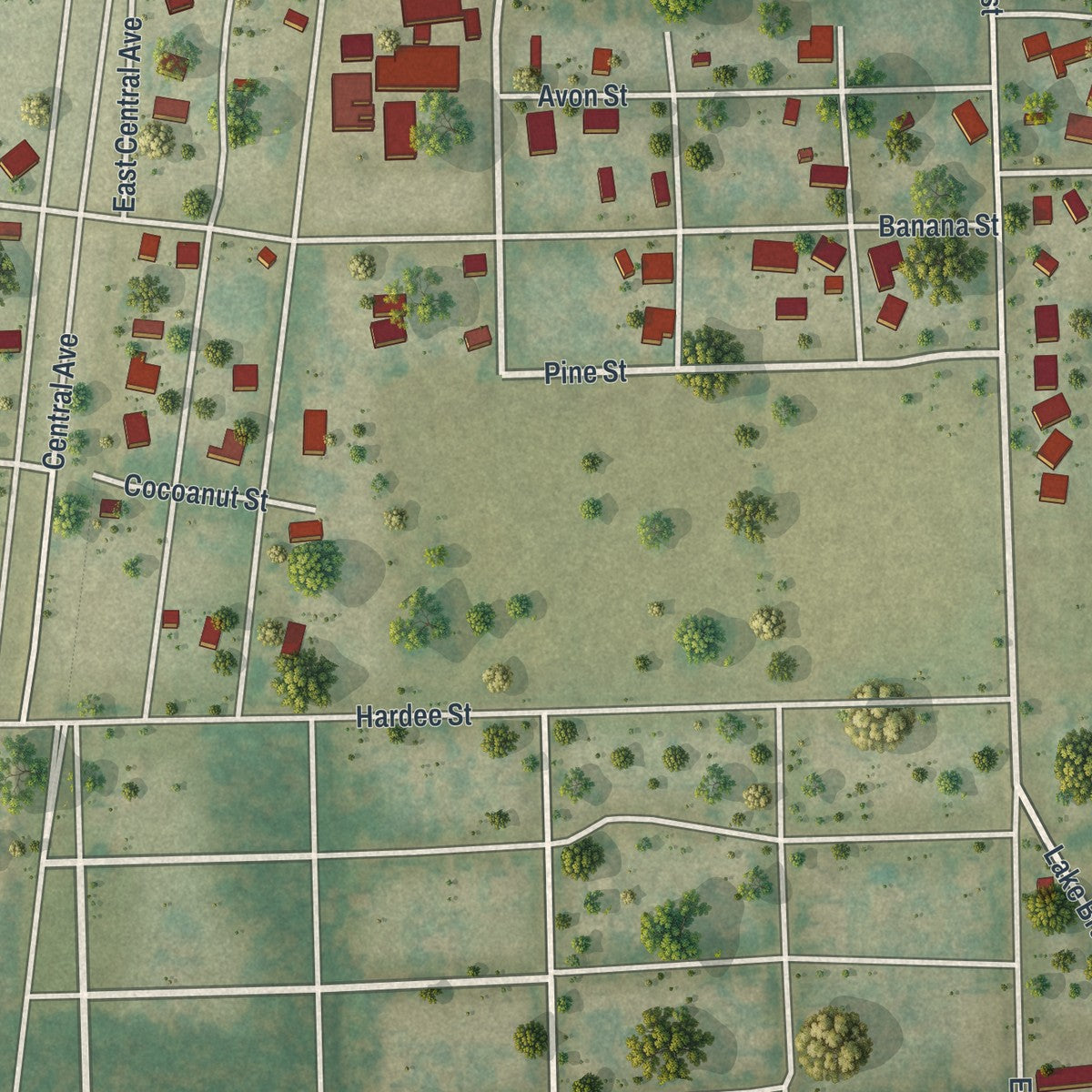 Close-up 2 of the Bowling Green, Florida map artwork